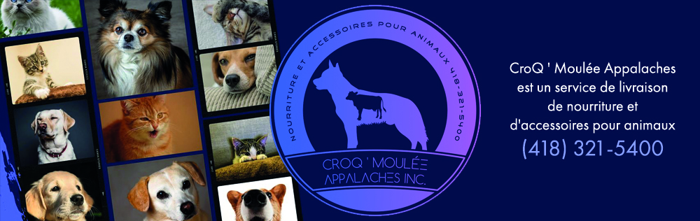 Nourriture et accessoires pour animaux domestiques et animaux de ferme à Saint-Adalbert,Saint-Apolline-De-Patton